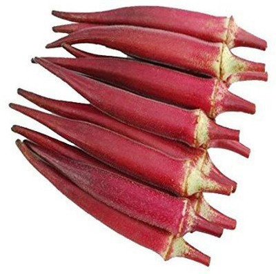 prev Red Okra Red Ladies Finger Seeds Seed(125 per packet)