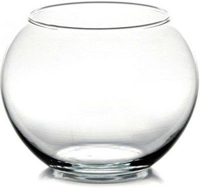 Virya Beautiful Clear Glass Pot for Lucky Bamboo/ Money Plant (Without Plants) Plant Container Set(Glass)