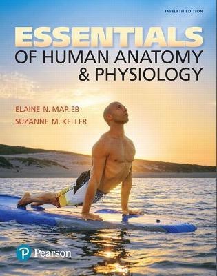 Essentials of Human Anatomy & Physiology(English, Paperback, Marieb Elaine)