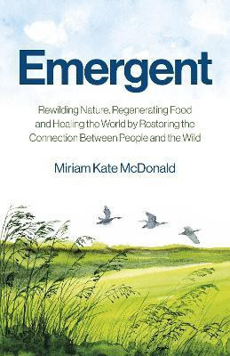 Emergent(English, Paperback, McDonald Miriam Kate)