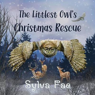 The Littlest Owl's Christmas Rescue(English, Paperback, Fae Sylva)