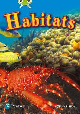 Bug Club Independent Non Fiction Year Two Lime Plus Non Fiction Habitats(English, Paperback, Rice William)