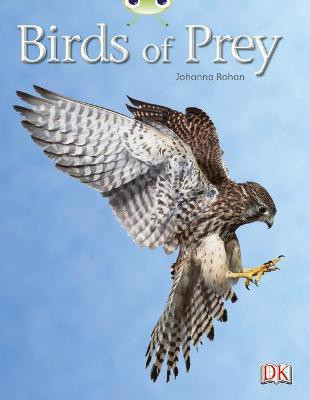 Bug Club Independent Non Fiction Year Two White A Birds of Prey(English, Paperback, Rohan Johanna)