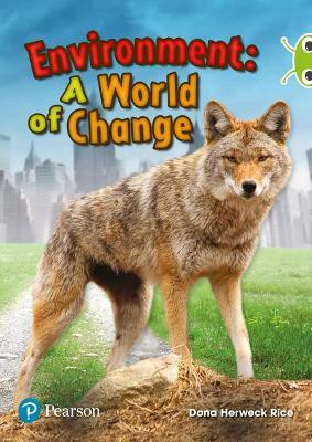 Bug Club Independent Non Fiction Year Two Lime Plus Environment A World of Change(English, Paperback, Rice Dona)