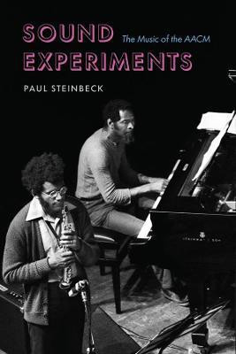 Sound Experiments(English, Hardcover, Steinbeck Paul)