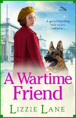 A Wartime Friend(English, Paperback, Lane Lizzie)