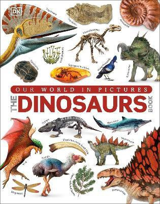 Our World in Pictures The Dinosaurs Book(English, Hardcover, DK John)