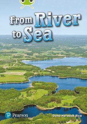 Bug Club Lime Plus A NF From River to Sea(English, Paperback, Rice Dona)