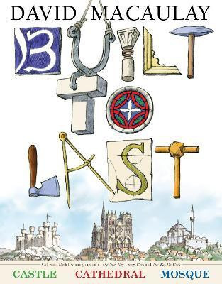 Built to Last(English, Hardcover, Macaulay David)