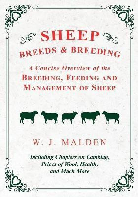 Sheep Breeds and Breeding - A Concise Overview of the Breeding, Feeding and Management of Sheep, Including Chapters on Lambing, Prices of Wool, Health, and Much More(English, Paperback, Malden W J) Sheep Breeds and Breeding - A Concise Overview of the Breeding, Feeding and Management of Sheep, Including Chapters on Lambing, Prices of Wool, Health, and Much More(English, Paperback, Malden W J)