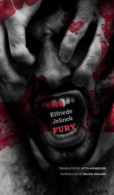 Fury(English, Hardcover, Jelinek Elfriede)