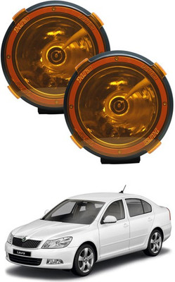 RKPSP HID Fog Lamp Unit for Skoda Laura
