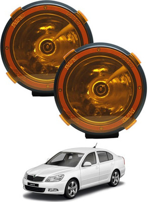 RKPSP HID Fog Lamp Unit for Skoda Laura