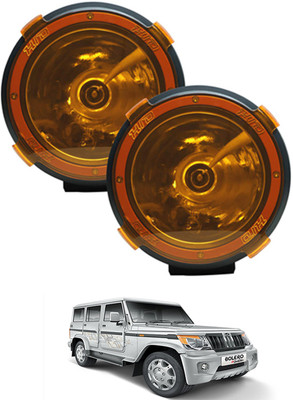 RKPSP HID Fog Lamp Unit for Mahindra Bolero