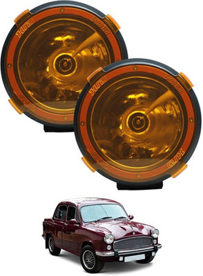 AYW HID Fog Lamp Unit for GM Ambassador