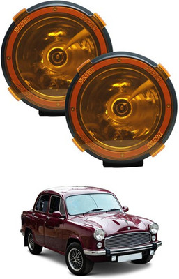 AYW HID Fog Lamp Unit for GM Ambassador