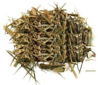 Cadence dry Chirayata, Swertia chirata, Chiretta Seed Seed(100 g)