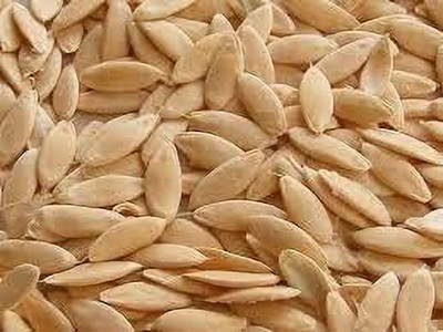 THAMMAR VNR Kheera and cucumbers seed Seed (2500 per packet) Seed(2500 per packet)