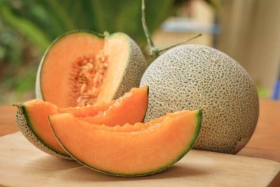 VibeX VVI-38 - Muskmelon hybrid Vegetable - (150 Seeds) Seed(150 per packet)