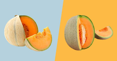 CYBEXIS XL-12 - Musk Melon - (1350 Seeds) Seed(1350 per packet)