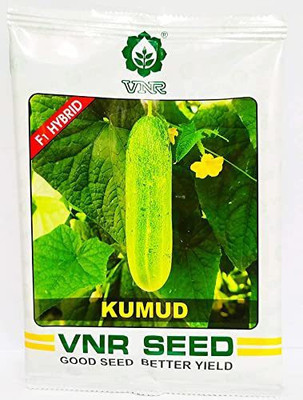 VNR VNR KUMUD Kheera and cucumbers seed Seed (400 per packet) Seed(400 per packet)