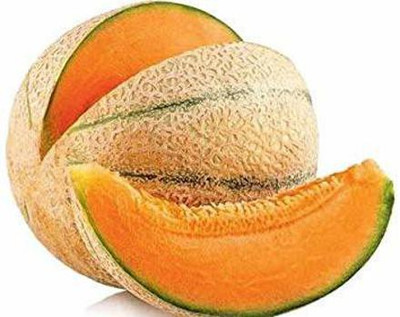 CYBEXIS ATS-16 - Hybrid Muskmelon - (1350 Seeds) Seed(1350 per packet)