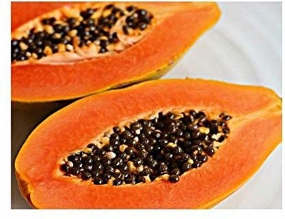 KANAYA Papita Seed(800 per packet)