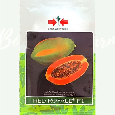 THAMMAR red royle hybrid papaya ( 100 seeds per packet ) seeds Seed(100 per packet)
