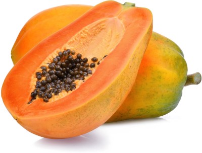 EarthAngel Papaya Plant(Hybrid, Pack of 1)