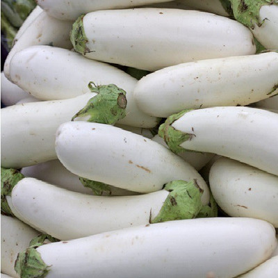 U-GROW INDIA Brinjal Seed(100 per packet)