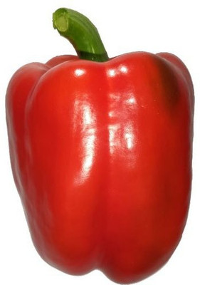 ALPINE HYBRID SEEDS Red Capsicum Seed(50 per packet)