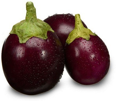 ALPINE HYBRID SEEDS Chu chu brinjal,seeds,vegetbleseeds Seed(50 per packet)