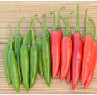 ALPINE HYBRID SEEDS Chilli Seed(50 per packet)