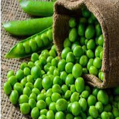 ALPINE HYBRID SEEDS pea Seed(20 per packet)