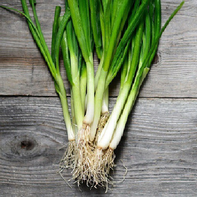 ALPINE HYBRID SEEDS Bunching onion Seed(50 per packet)
