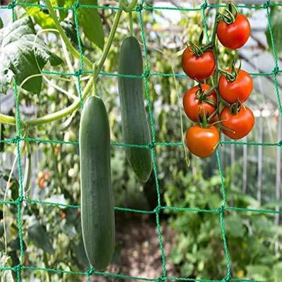 world net enterprise Plant Climbing Net & Creeper Support for Agriculture 5Feet x 10 Feet Insect Net