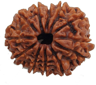 RamG 12 Mukhi/12Mukhi Nepali Rudraksha Small Wood Locket