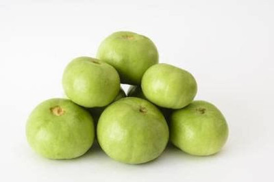 Aywal Tinda Seed(45 per packet)