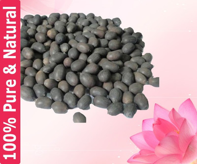 Darshan Sandhya Premium Quality Lotus Seeds, Kamal Gatta, Kamal Bheej, Symbol of Goddess Laxmi for Puja and Havan, (Pack of 21 Pec) Seed(21 per packet)