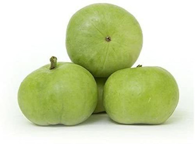 MKR Enterprises Round Gourd Seed(120 per packet)