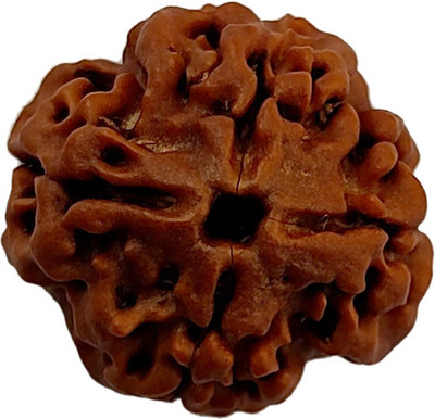 PRIYANSHU NAVRATN Certified 4 Mukhi Rudraksha Original Natural 4 Face Rudraksha Beads Beryl Wood