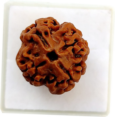 PRIYANSHU NAVRATN Natural 4 Mukhi Rudraksha Beads Original Certified 4 Face Rudraksha Beads Beads Wood