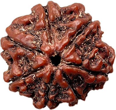 PRIYANSHU NAVRATN Positive Effect Lab Certified 7 Mukhi Rudraksha Beads 7 Face Rudraksha Beads Natural Original & Real Beads Man & Women Beads Wood