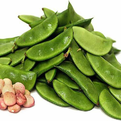 MKR Enterprises Beans Seed(100 per packet)