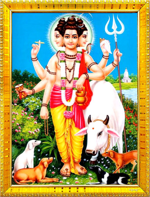 Zig Zag Lord Dattatreya Dattaguru Religious Frame