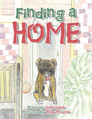 Finding a Home(English, Paperback, Lane Julie)
