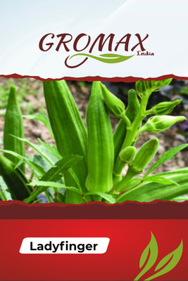 Gromax India Ladyfinger With Free Try Me Seeds Pack Seed(40 per packet)