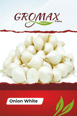 Gromax India Onion White Seeds With Free Try Me Seeds Pack Seed(40 per packet)