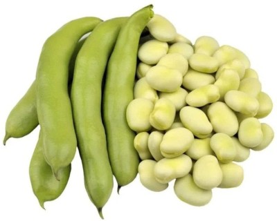 EVY BOARD BEAN SEED Seed(100 per packet)