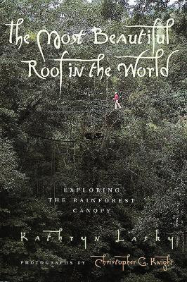 Most Beautiful Roof in the World(English, Paperback, Lasky Kathryn)